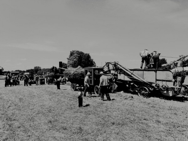 20200816_115744.jpg