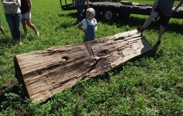 split log 2.JPG