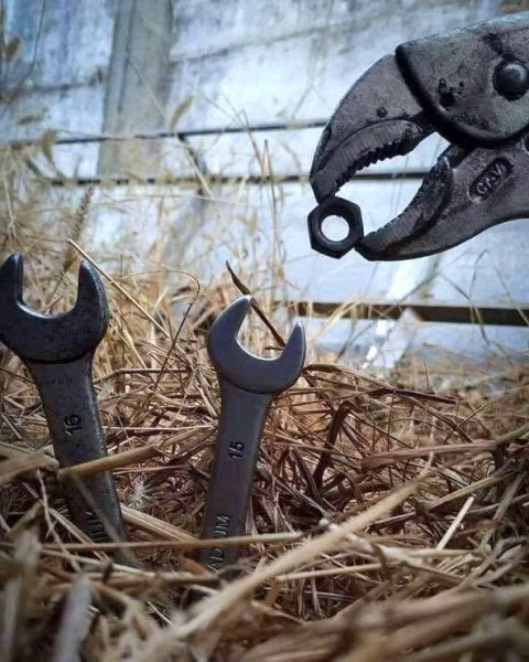 Feeding Wrenchlets.jpg