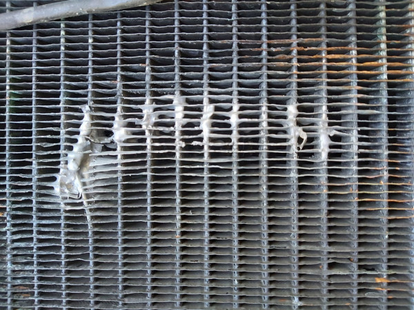 20200919_140509.jpg