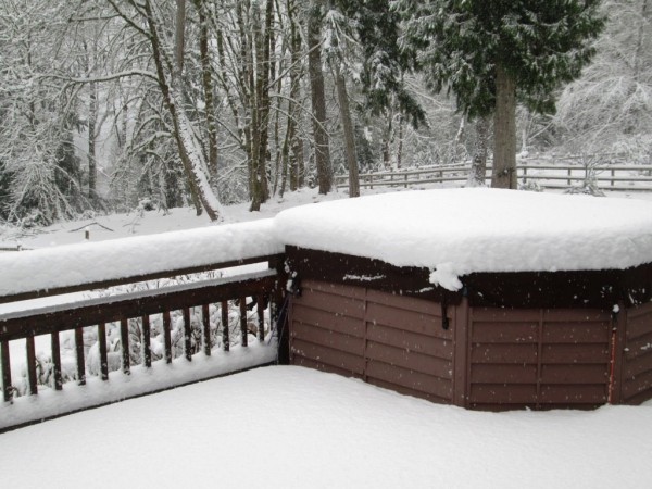 snow 2019 1.JPG