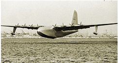 spruce goose.png