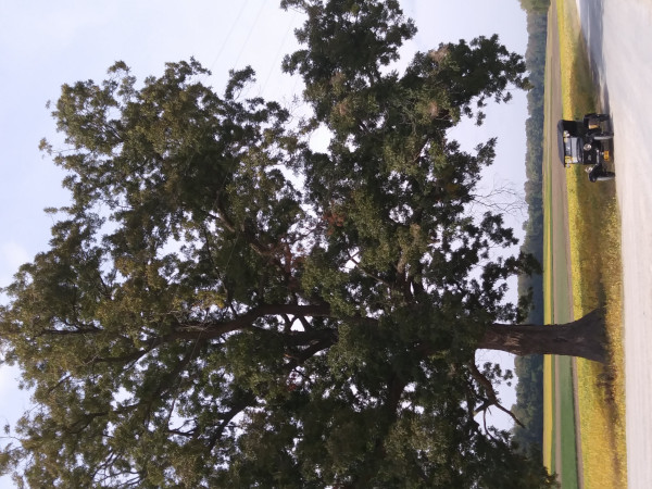 20200927_145316.jpg