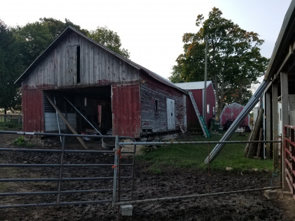 20201006_093400.jpg