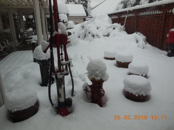 DSCN4167.JPG