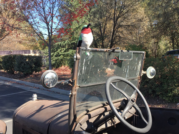 I didn’t want to scrub off avian deposits so I just placed my grandson’s bird toy there!