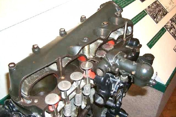 443191.jpg