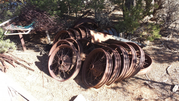 20201105_112622.jpg