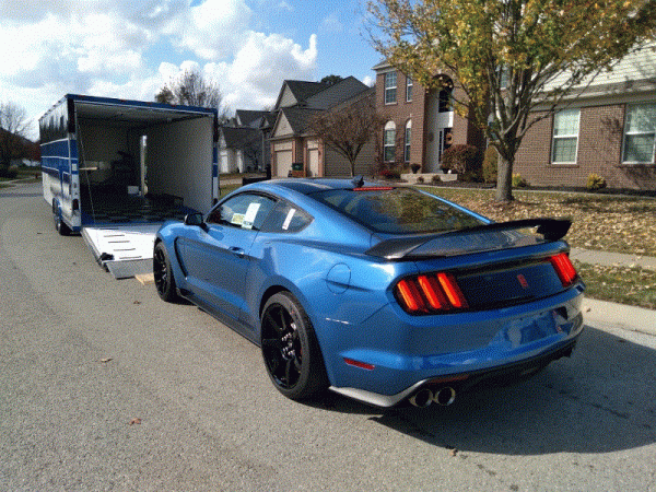 20201022_143255 (800x600).gif
