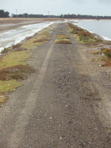P2030045.JPG