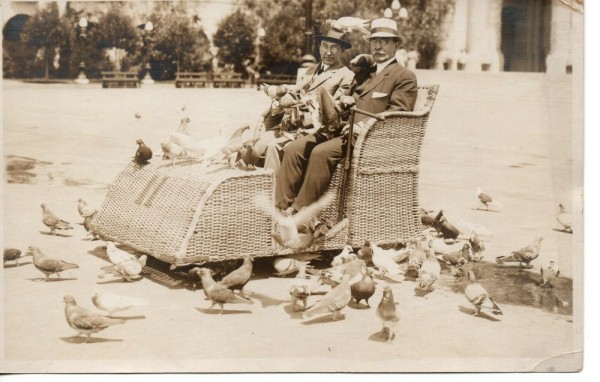 pidgeon car.jpg