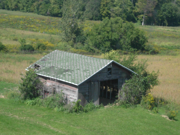 SANY0605.JPG
