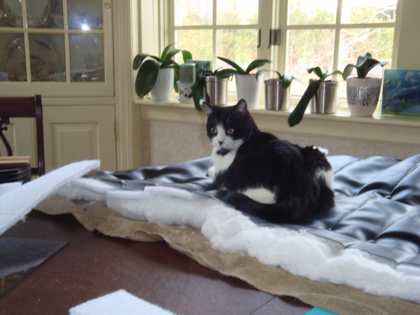 DSC06370.JPG
