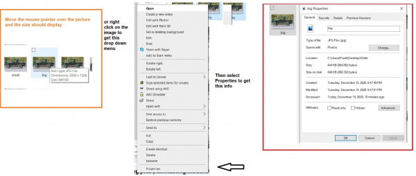 pic info.jpg