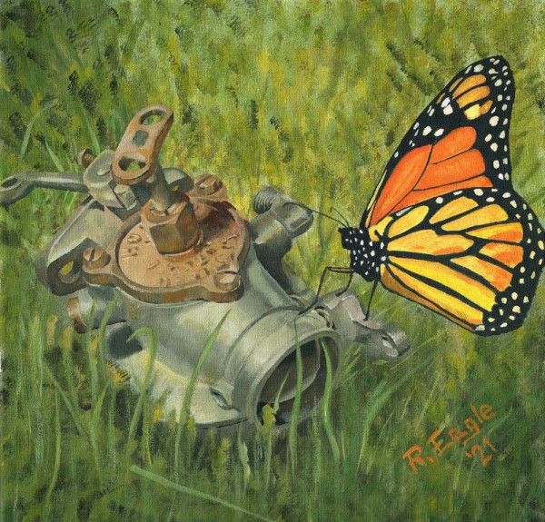 Butterflies.jpg