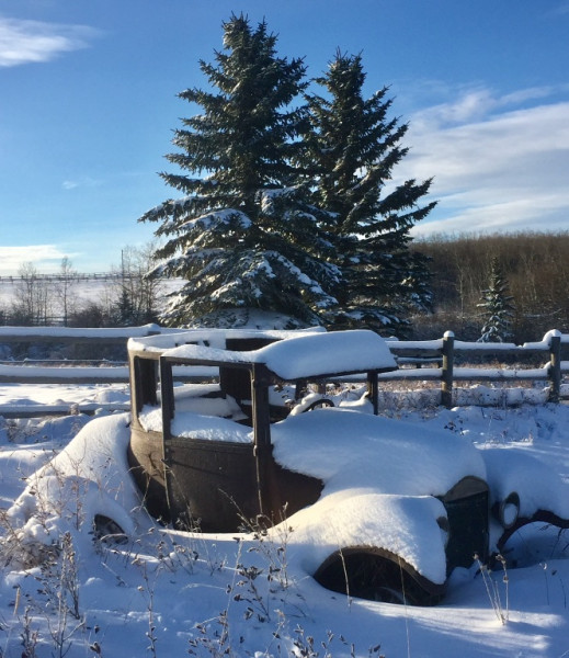 Another T in the snow