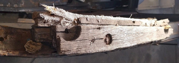 original top wood
