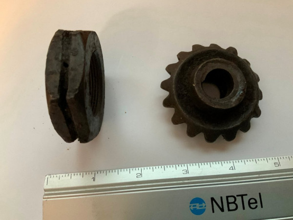 nut2.jpg