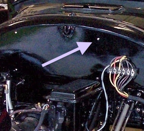 DCP_2961 (526x478) (526x478) (526x478) (500x454) (499x453).jpg