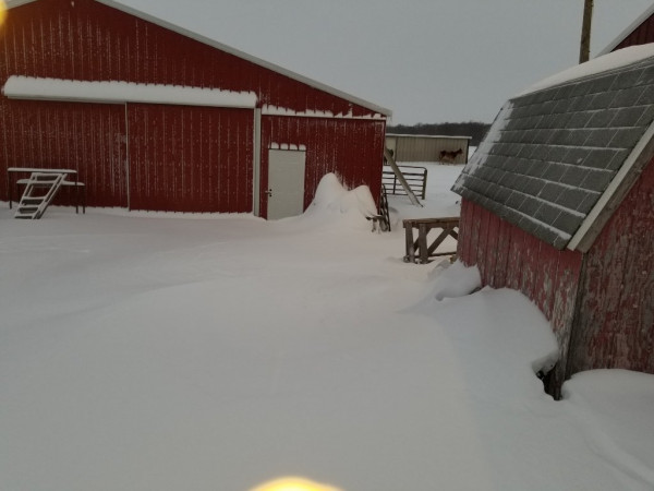 20210216_072909.jpg