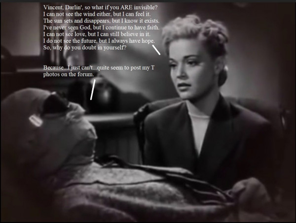 33 Vincent Price invisible b.jpg
