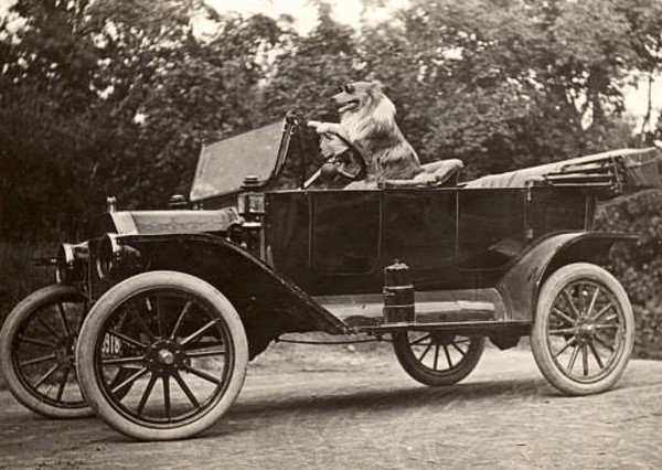 1914Ttouringdogdriving.jpg