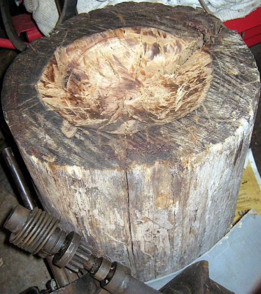 stump.JPG