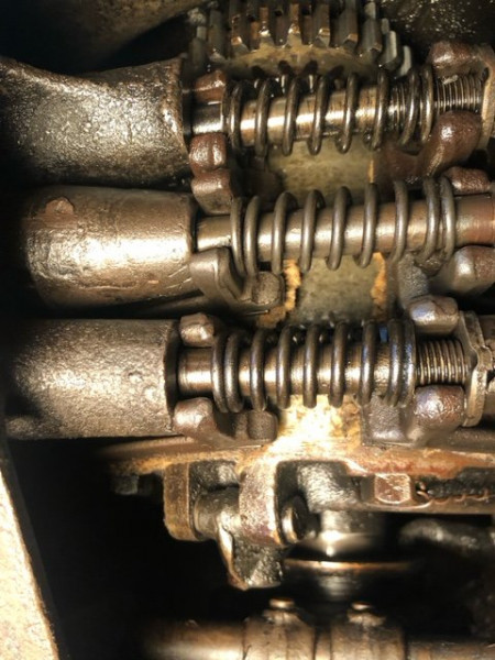 image3 (11).jpeg