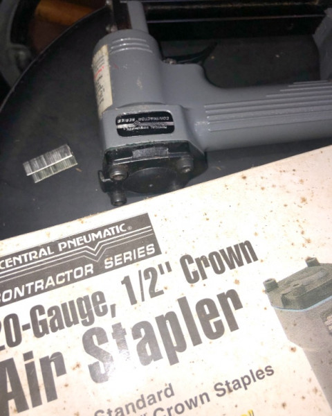 staple gunI .jpg