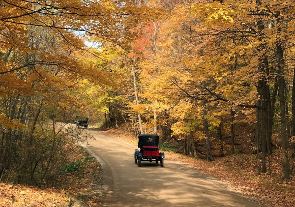 Fall_1.jpg