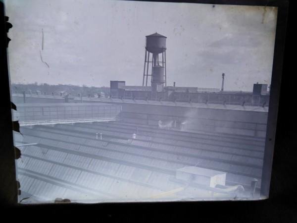 456-16.jpg