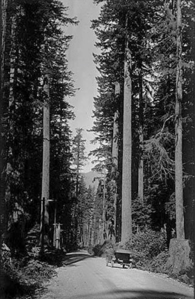 7AF09F61-3D33-478F-874E-41CE462CB007.jpeg