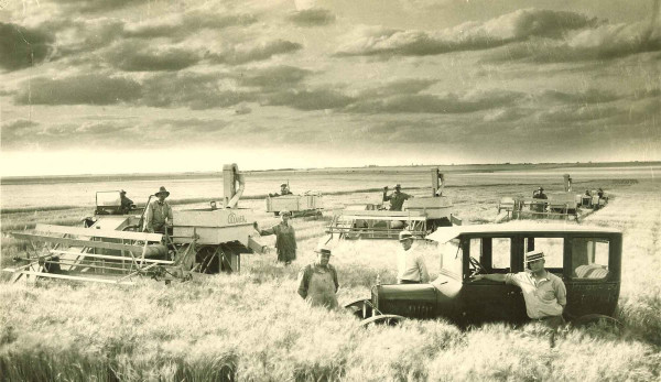 Gold Was Just A Windy Kansas Wheatfield.jpg