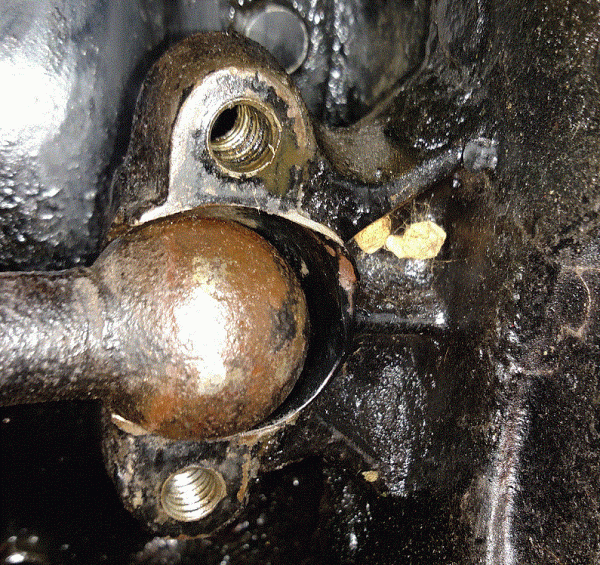 Wishbone socket-2.gif