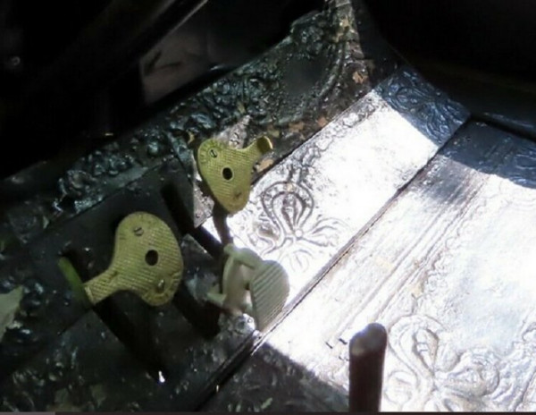 Ped pads .jpg