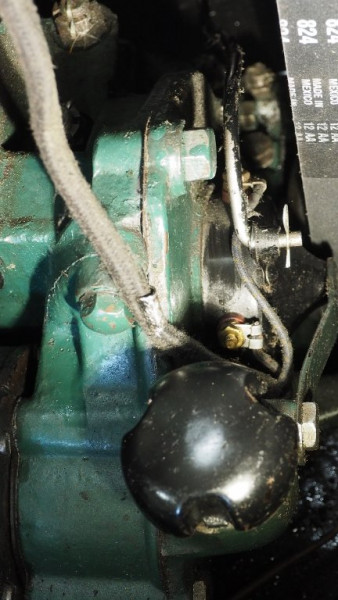 timing cover bolt 1.JPG