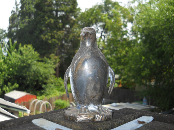 DSCN1012.JPG