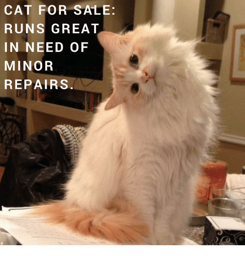 701D02AD-E9F9-4865-9E9C-E9A937057FCE.png