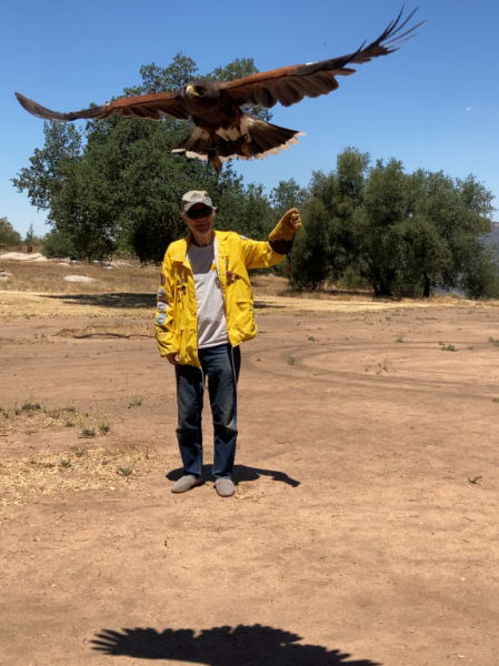 Big boy shows his wings