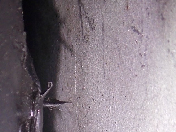 RSCN0428.JPG