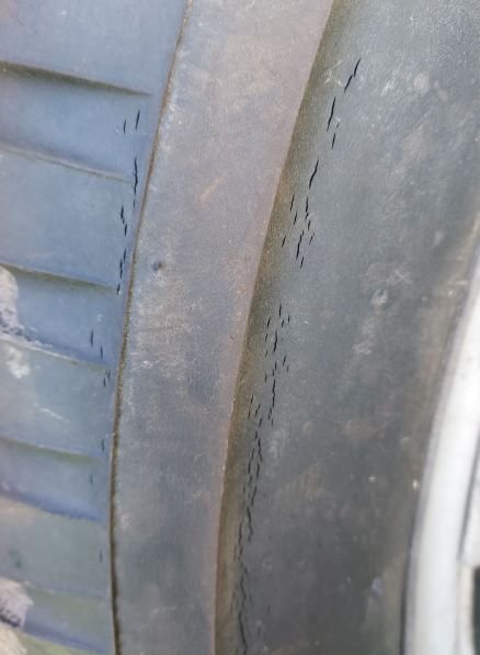 tire  1.jpg