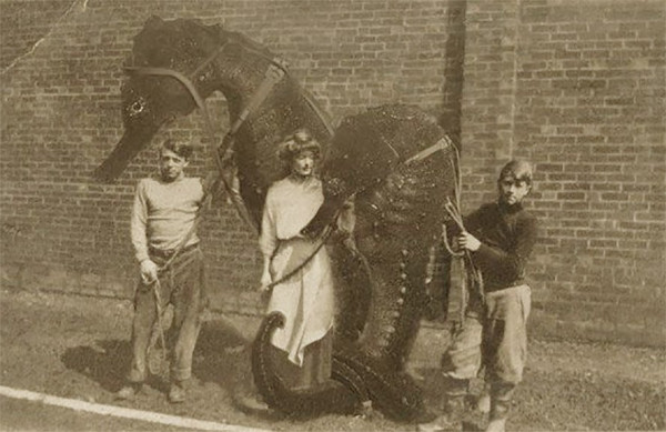SeeHorse.jpg