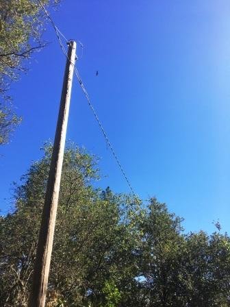 pole and break forum.JPG