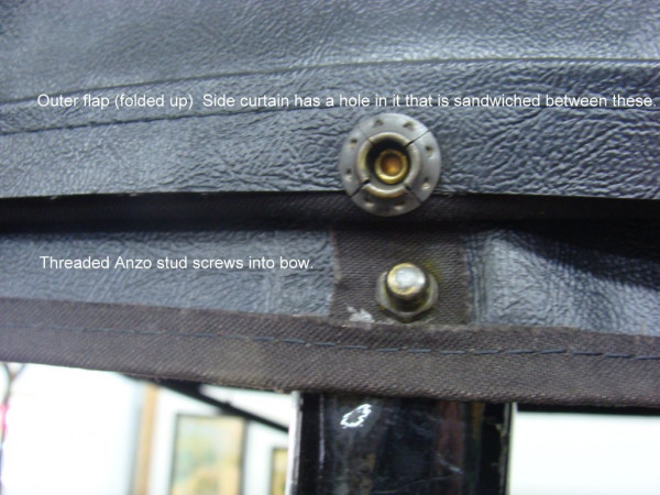 Anzo stud in bow.JPG
