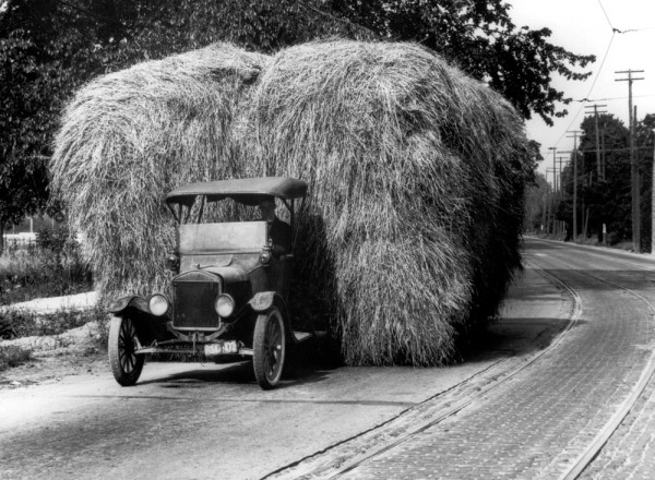 hay1.jpg