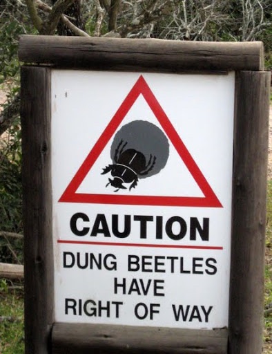 9EE122A7-78F1-4519-A25E-5C017579C005.jpeg